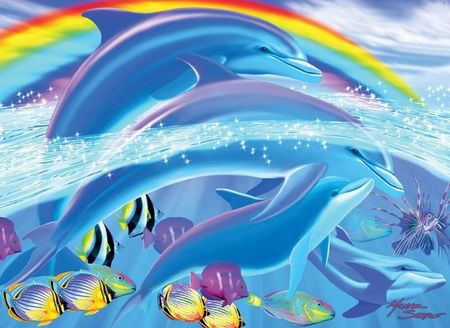 海豚.jpg